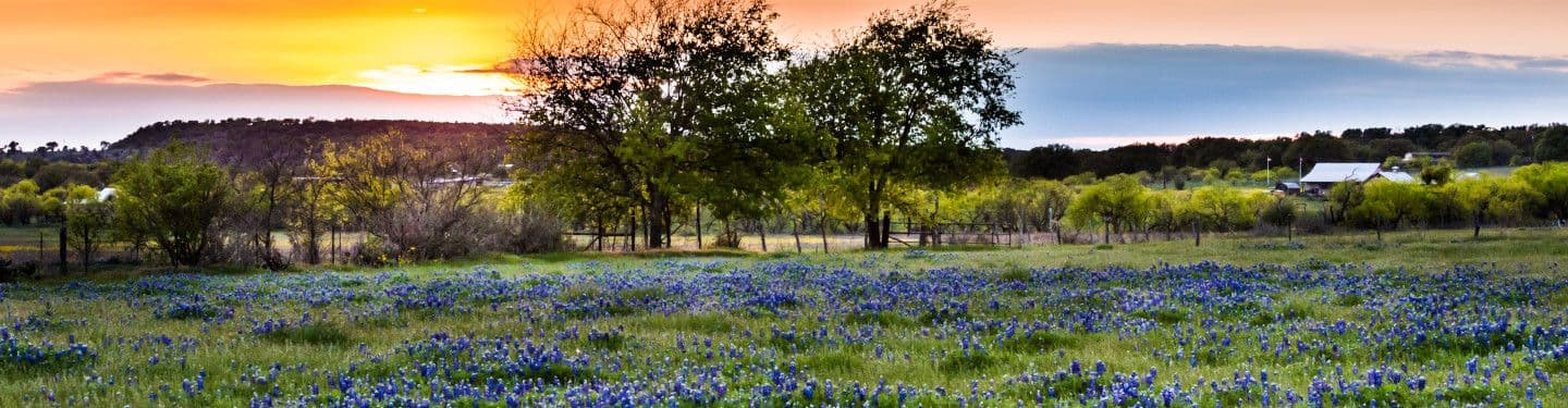 Cole Ranch Public Docs Image